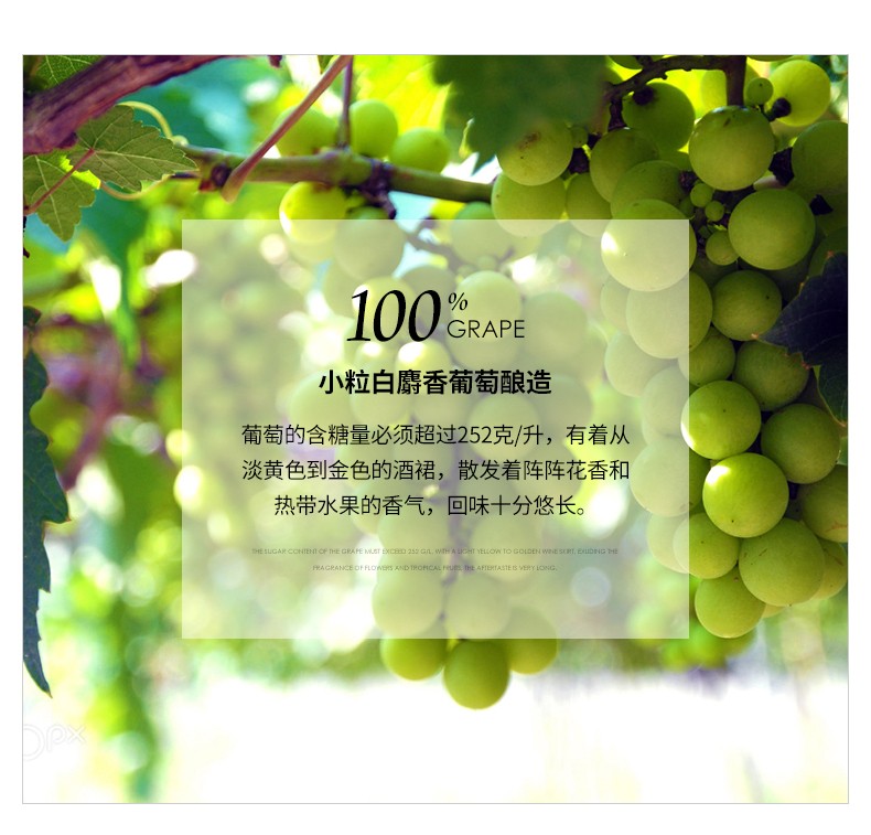 小粒白麝香葡萄釀造