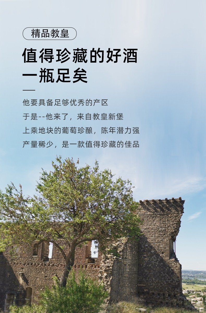 精品教皇