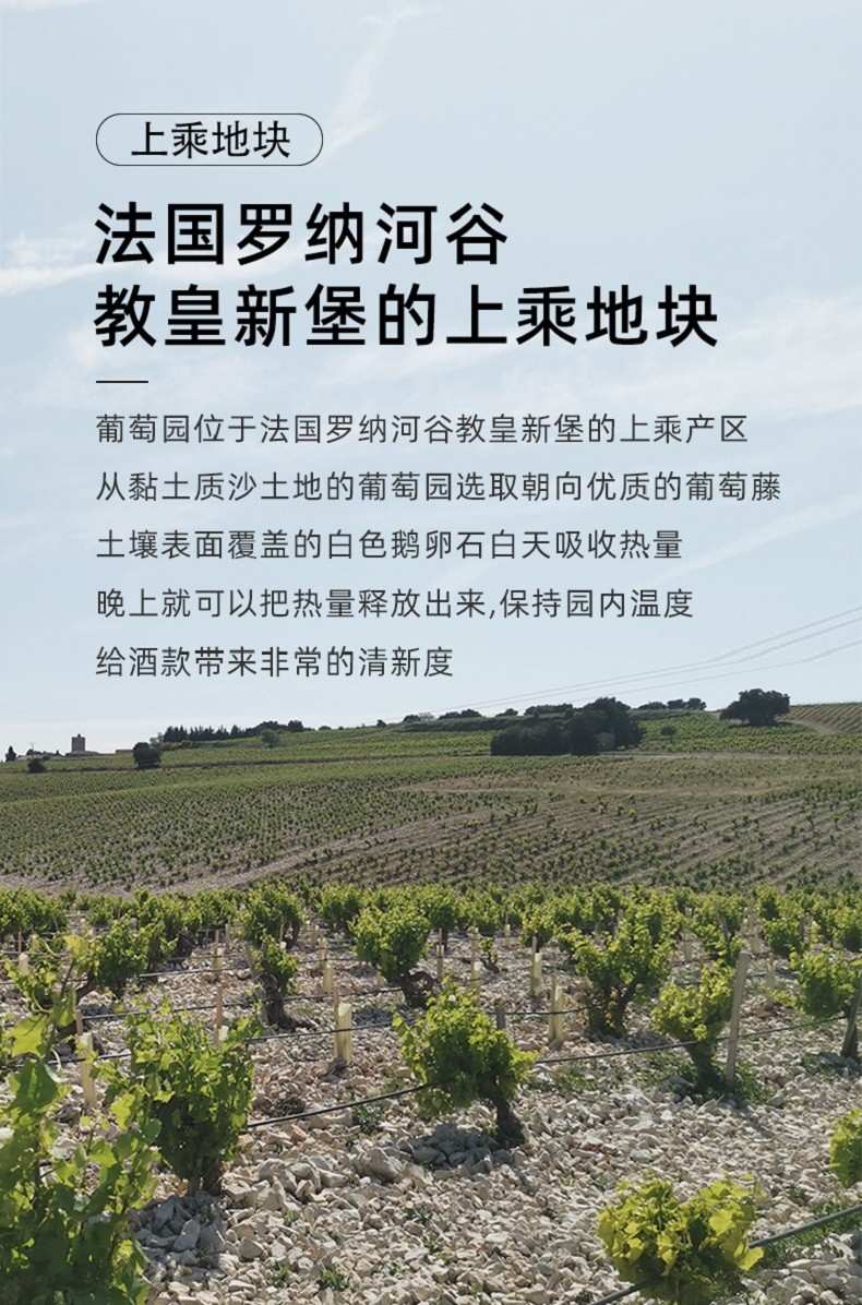 發過羅納河谷精選葡萄
