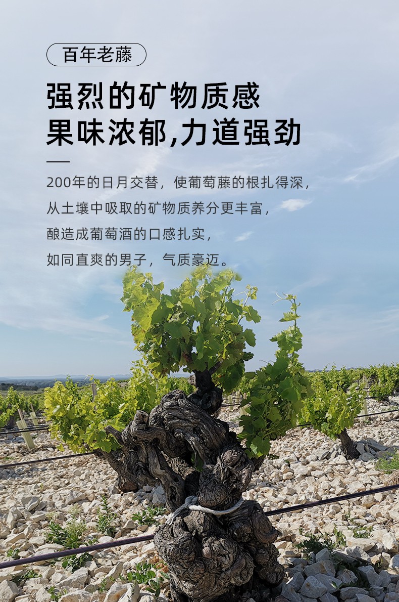 果味濃郁