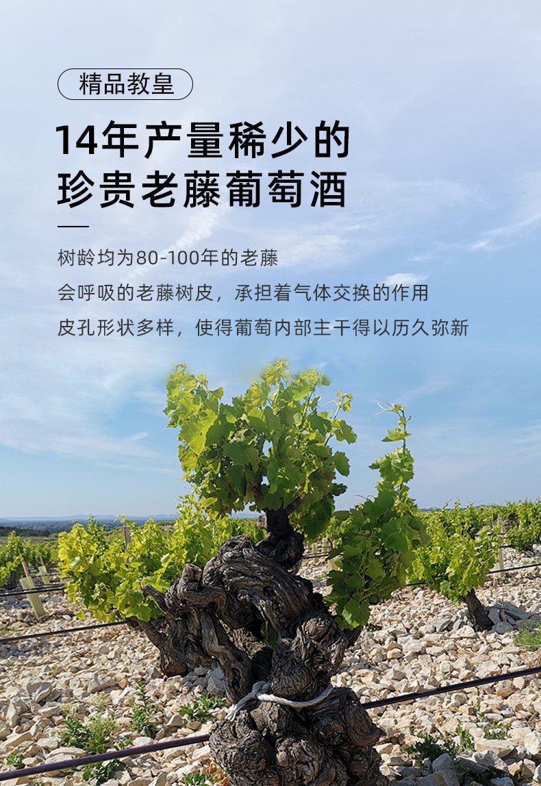 14年產(chǎn)量稀少的珍貴老藤葡萄酒