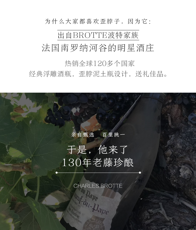 來自羅納河谷的明星酒莊